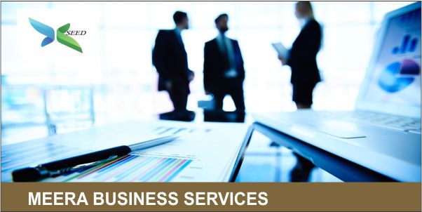 MEERA BUSINESS SERVICES