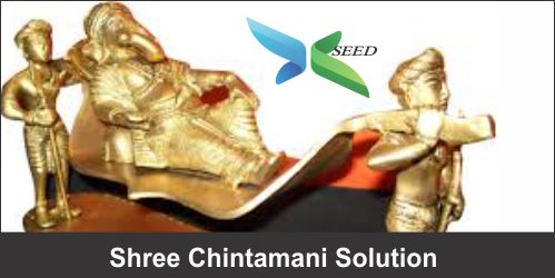 Shree Chintamani Solutions 