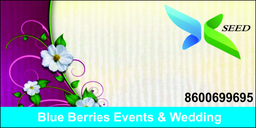 Blue Berries Events & Wedding Planner