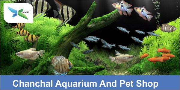 Chanchal Aquarium And Pet Shop