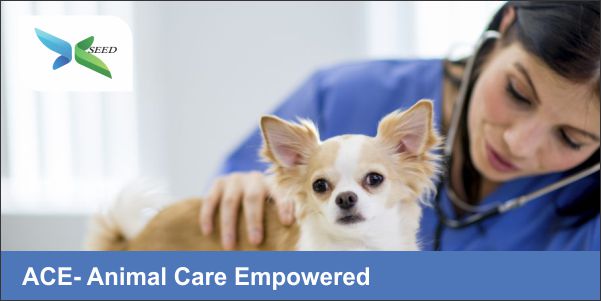 ACE- Animal Care Empowered