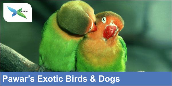 Pawar's exotic birds & dogs
