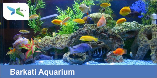 Barkati Aquarium
