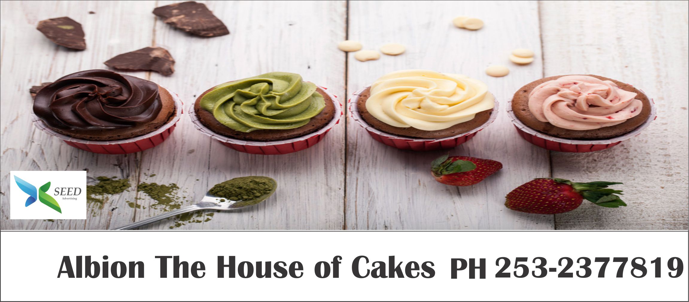 Albion The House of Cakes