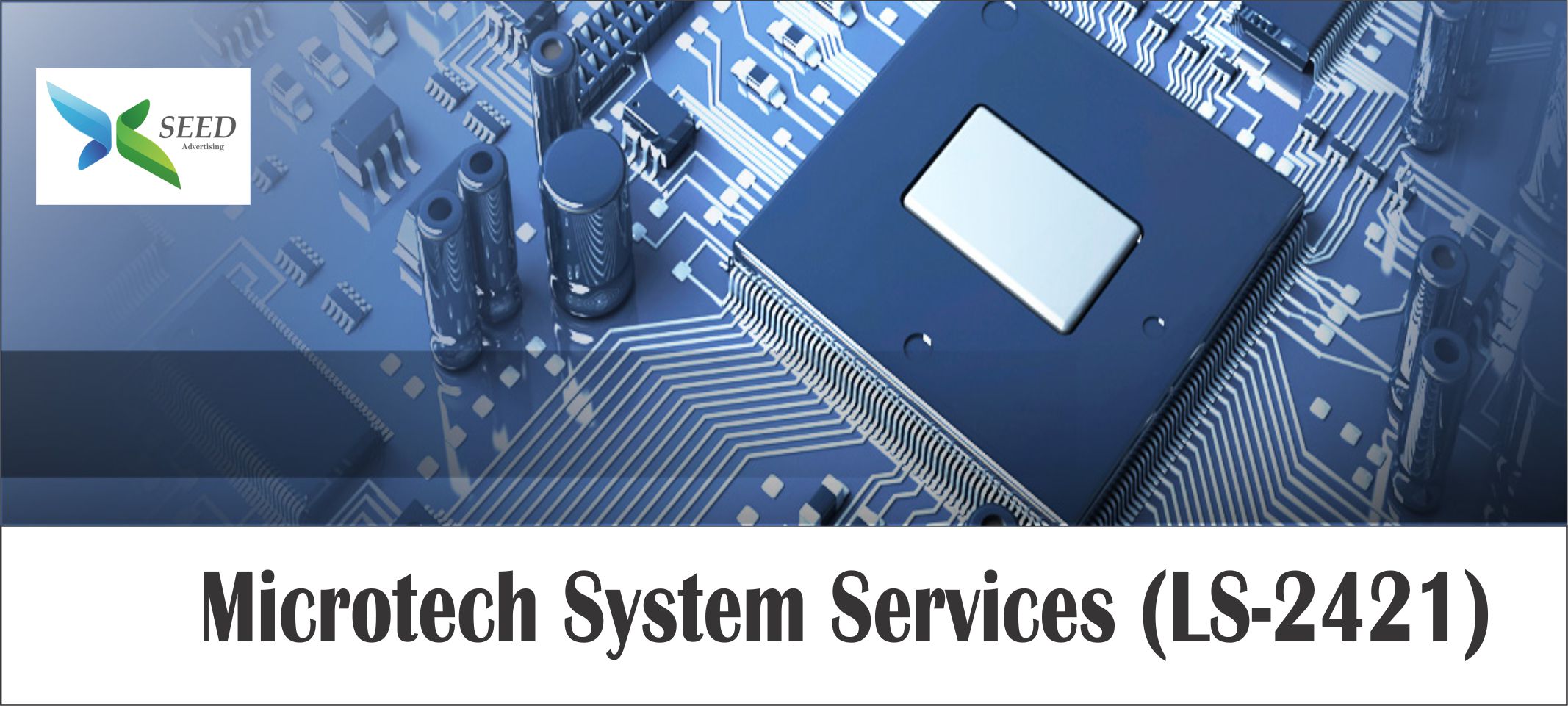 Microtech System Services 