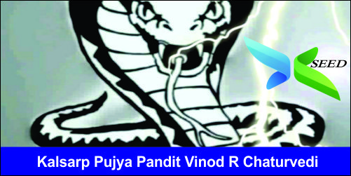Kalsarp Puja Pandit Vinod R Chaturvedi