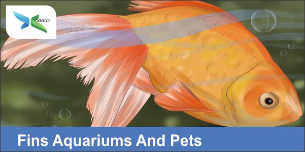 Fins Aquariums And Pets