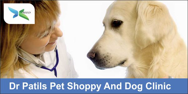 Dr Patils Pet Shoppy And Dog Clinic