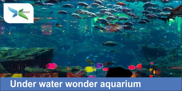 Under water wonder aquarium