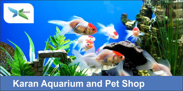 Karan Aquarium and Pet Shop