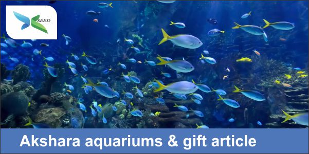 Akshara aquariums & gift article