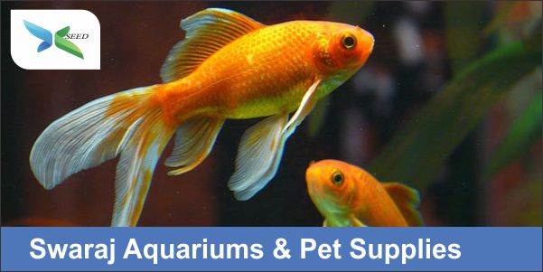 Swaraj Aquariums & Pet Supplies