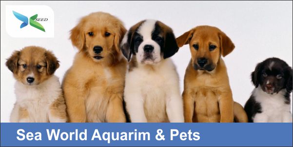 Sea World Aquarium And Pets